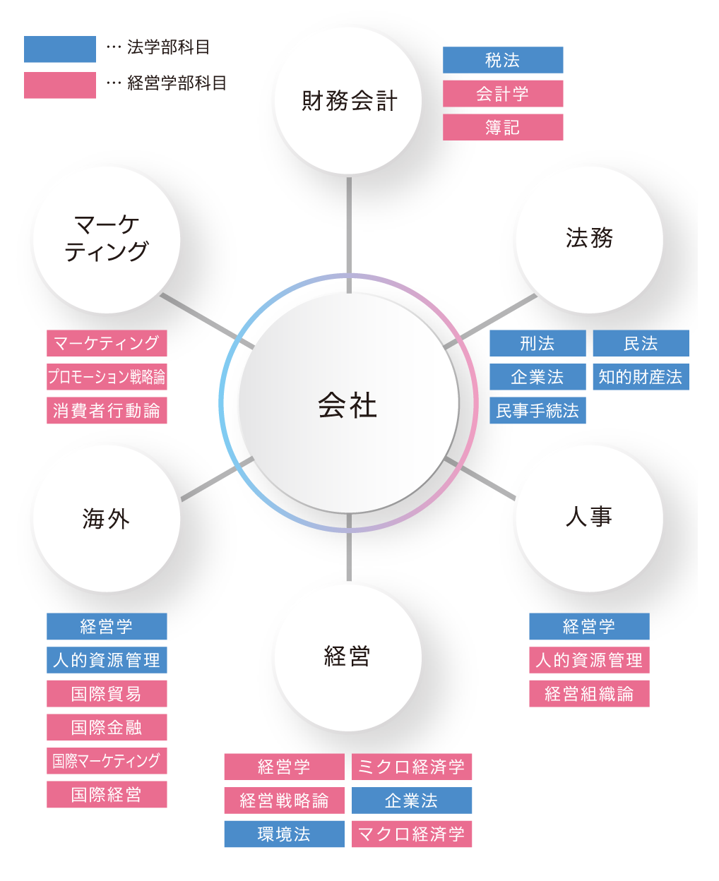 専門分野の枠を超え、社会で役立つビジネス力を養う