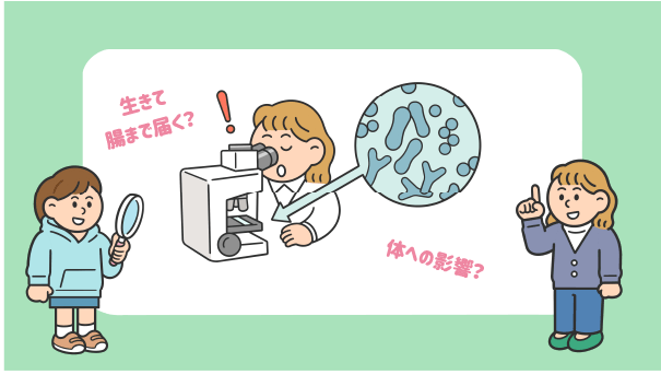 乳酸菌研究編イメージ