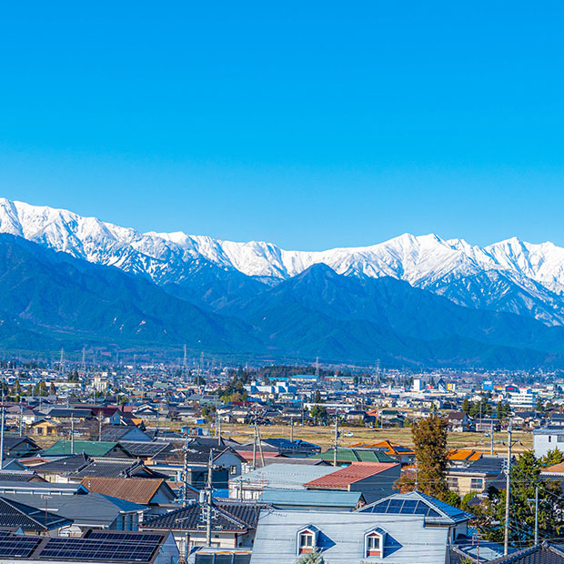 長野県出身ナイト