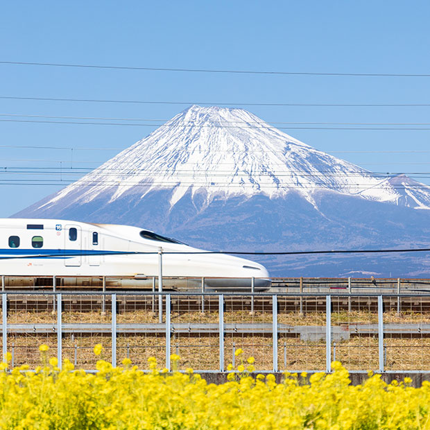 静岡県出身ナイト