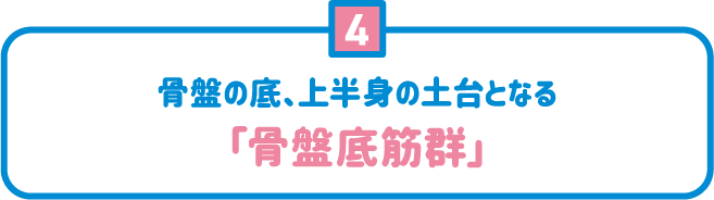 4 骨盤の底、上半身の土台となる「骨盤底筋群」