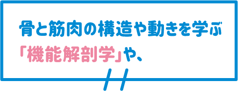 骨と筋肉の構造や動きを学ぶ「機能解剖学」や、