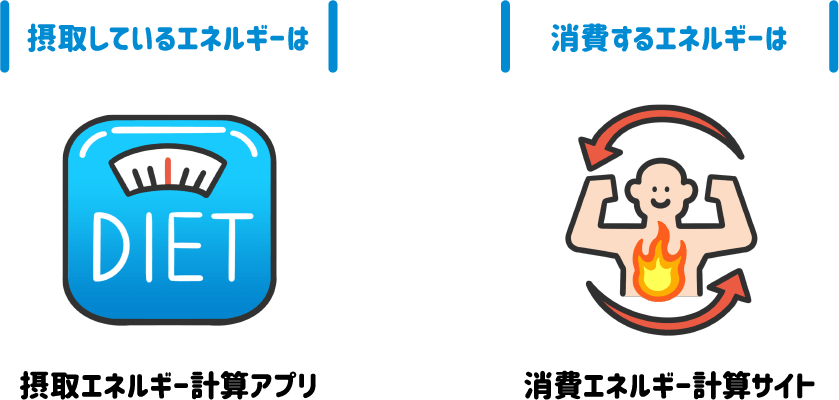 摂取しているエネルギーは摂取エネルギー計算アプリ／消費するエネルギーは消費エネルギー計算サイト