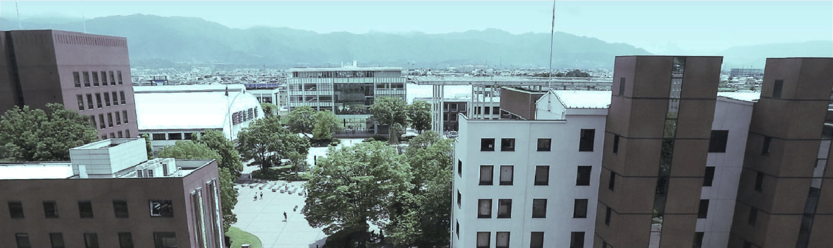 学部／大学院／教学センター